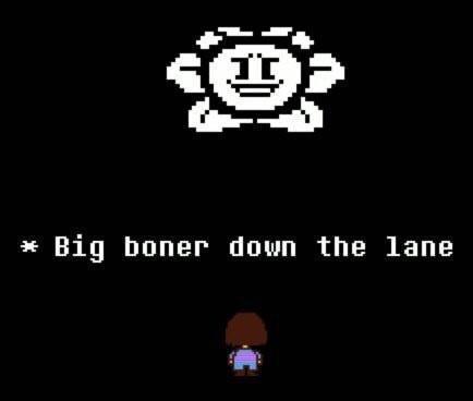 Thanks Flowey