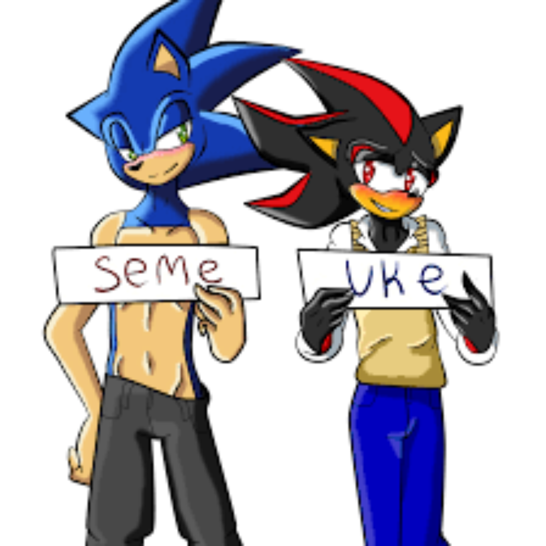 SONADOW (sonic seme X shadow uke)