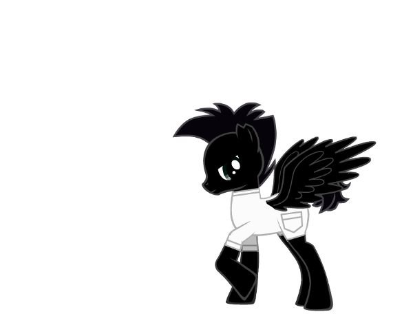 my pony o.c conncusion