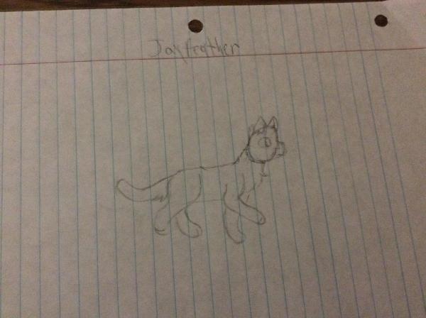 Jayfeather