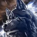 stormwolf09