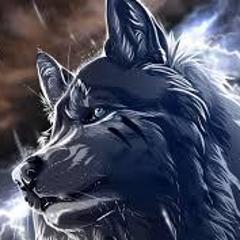 stormwolf09