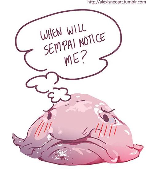 Senpai will never notice blobfish :(