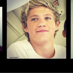 Nialllover