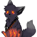 Darky_the_Wolf_Dog