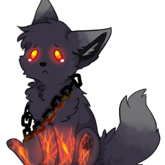 Darky_the_Wolf_Dog