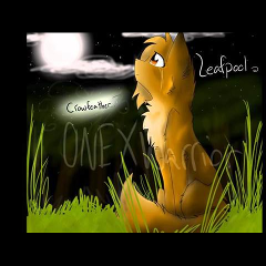 leafpool2