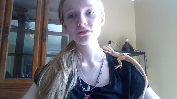 NOW PRESENTINGGG MY BEARDED DRAGON, TELULAH!