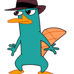 platonicplatypus