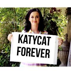 katycat