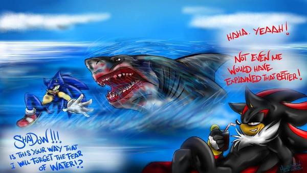 Shadow "helping" Sonic with his fear of water.