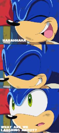 Me: Oh Sonic. XD