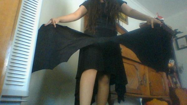 my bat/demon/dragon wings im making!