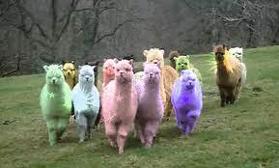 LLAMA ARMY.