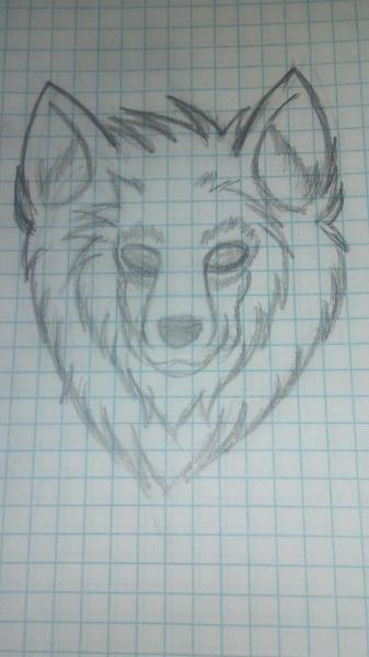 I drew a wolf! I feel su prouds! :'^D