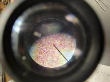 Paper under a microscope (bad pic sorey)