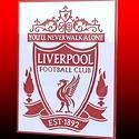 u will never walk alone