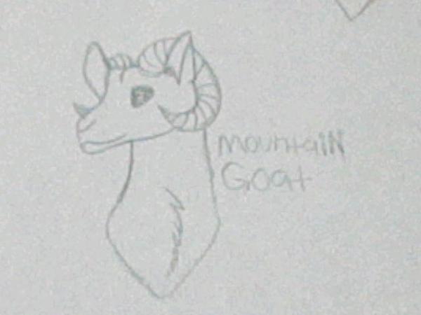 i drew a mountain goat :D