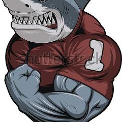 sharky5