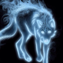 TheSpiritWolf